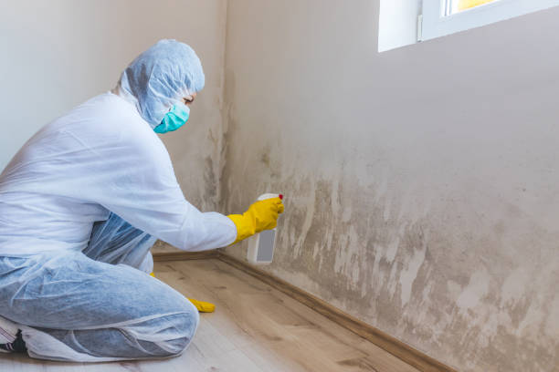 Bathroom Mold Removal assessment in Coopersville bathroom